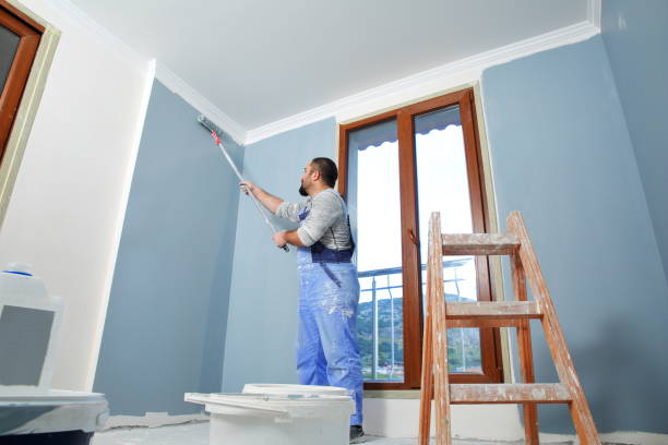 Best Environmental Consulting for Mold Prevention  in Barrackville, WV
