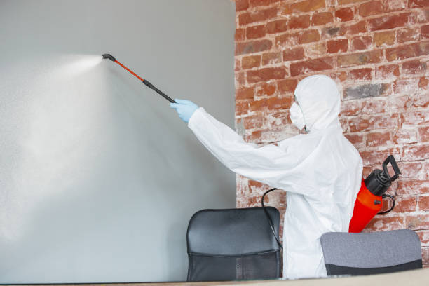 Best Water Damage & Mold Remediation  in Barrackville, WV