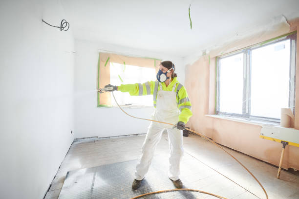 Best Basement Mold Removal  in Barrackville, WV