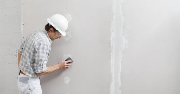 Best Mold Prevention Services  in Barrackville, WV