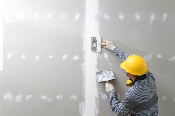 Best Biohazard Mold Removal  in Barrackville, WV