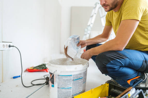 Best Industrial Mold Remediation  in Barrackville, WV