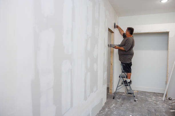 Best Water Damage & Mold Remediation  in Barrackville, WV