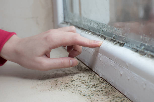 Asbestos and Lead Testing During Mold Inspection in Barrackville, WV