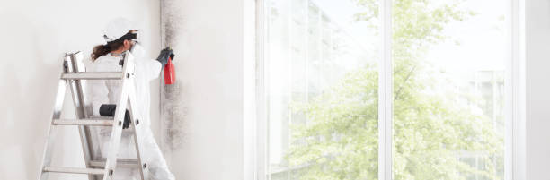 Barrackville, WV Mold Removal Company