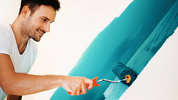 Best Post-Construction Mold Inspection  in Barrackville, WV